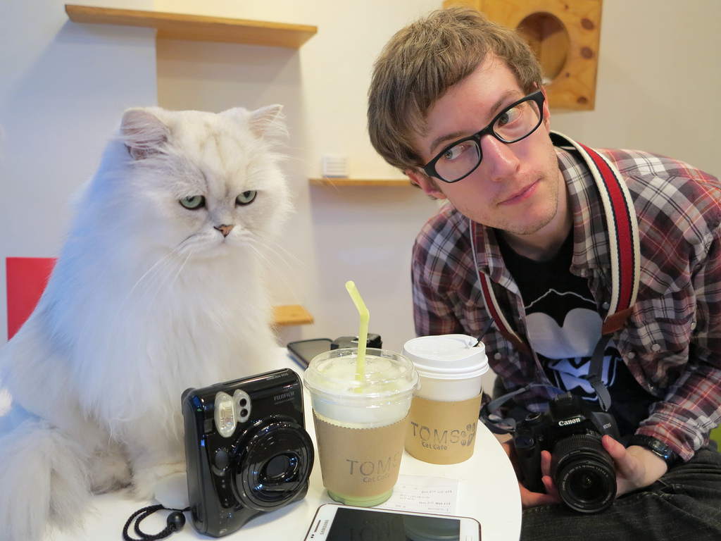 Local Introverts Triumph in the Announcement of Richmond Cat Cafe – The